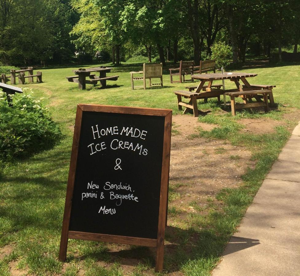 South Downs Eco Lodge & Camping East Meon Exterior foto